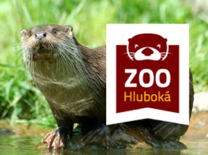Zoo Hluboká nad Vltavou